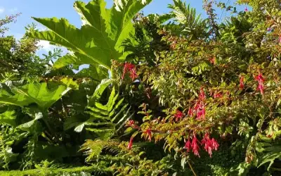 Curso: Módulo Diseño y Selección de Especies para Jardines Verticales